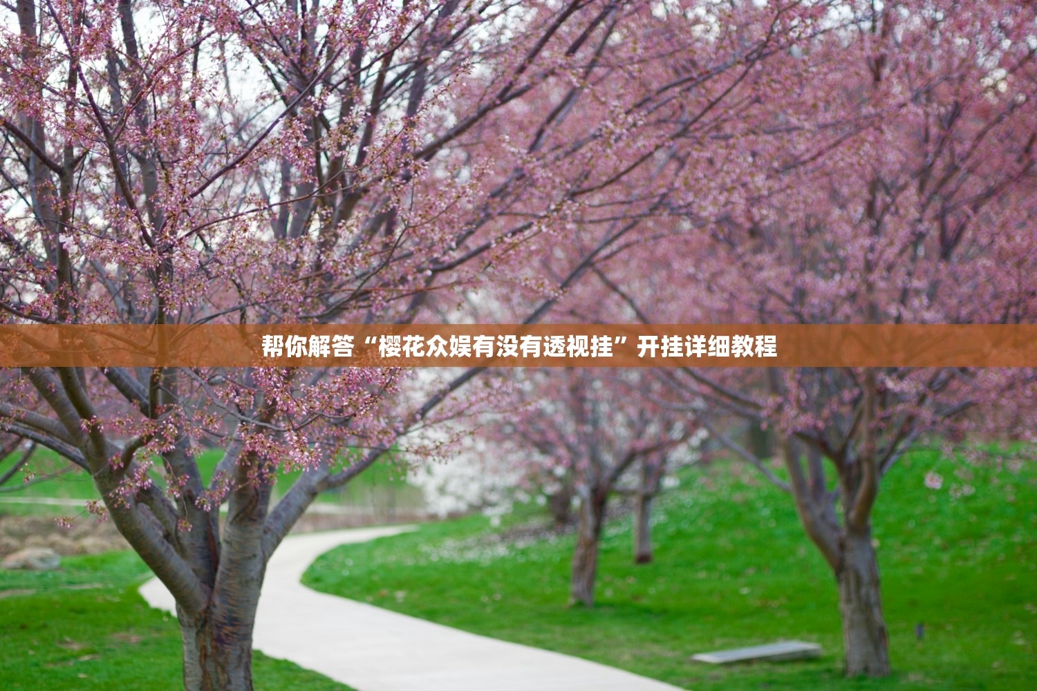 帮你解答“樱花众娱有没有透视挂”开挂详细教程
