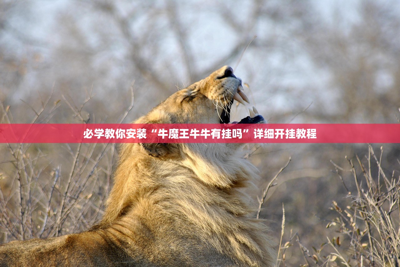 必学教你安装“牛魔王牛牛有挂吗”详细开挂教程