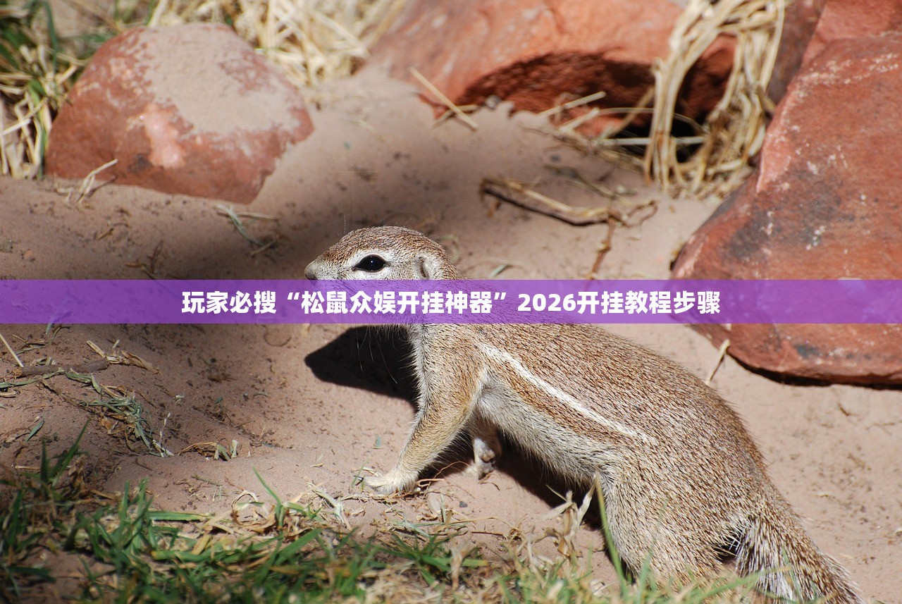 玩家必搜“松鼠众娱开挂神器”2026开挂教程步骤
