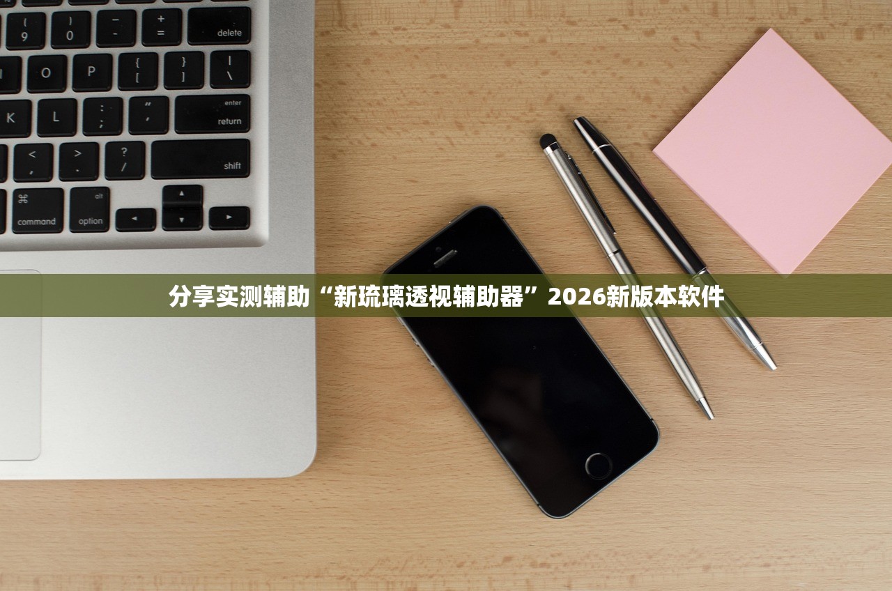 分享实测辅助“新琉璃透视辅助器”2026新版本软件
