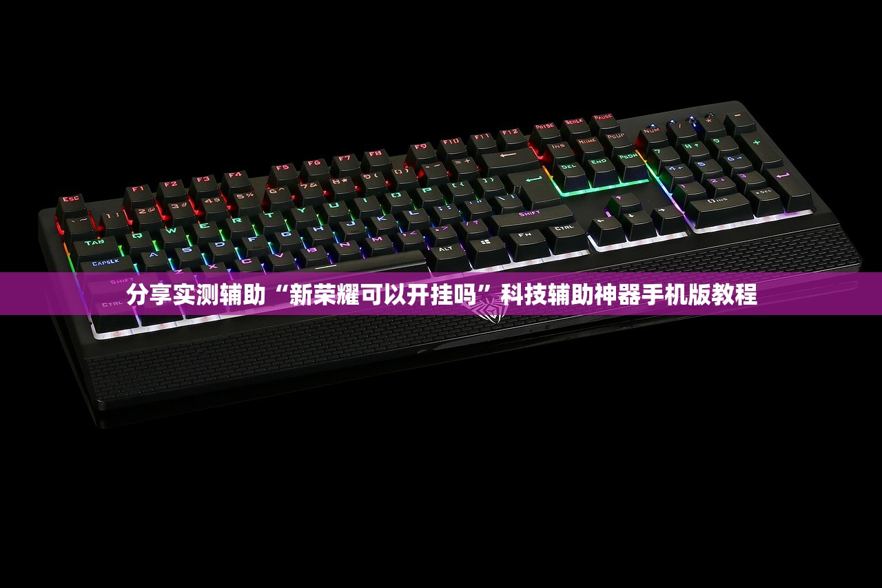 分享实测辅助“新荣耀可以开挂吗”科技辅助神器手机版教程
