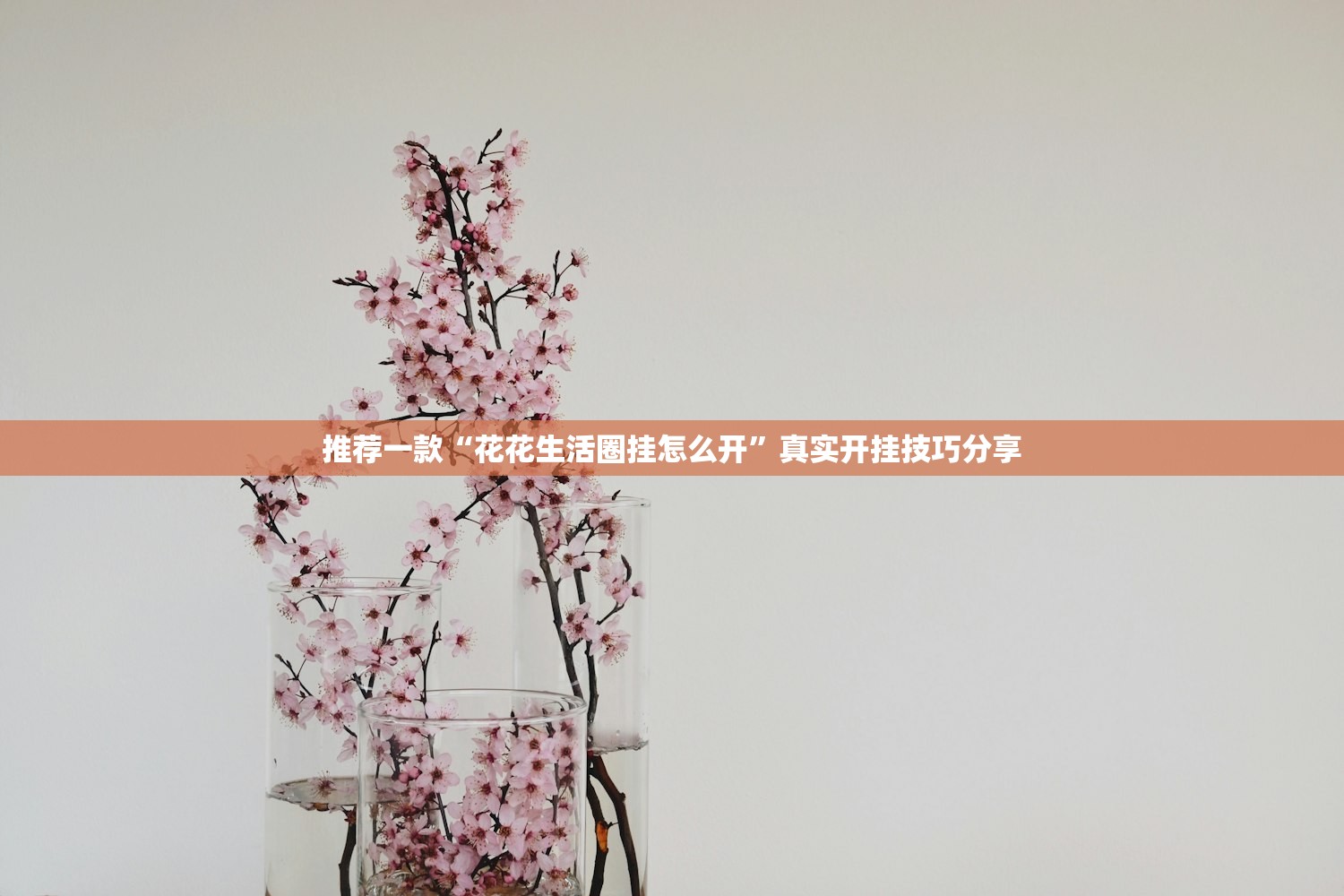 推荐一款“花花生活圈挂怎么开”真实开挂技巧分享