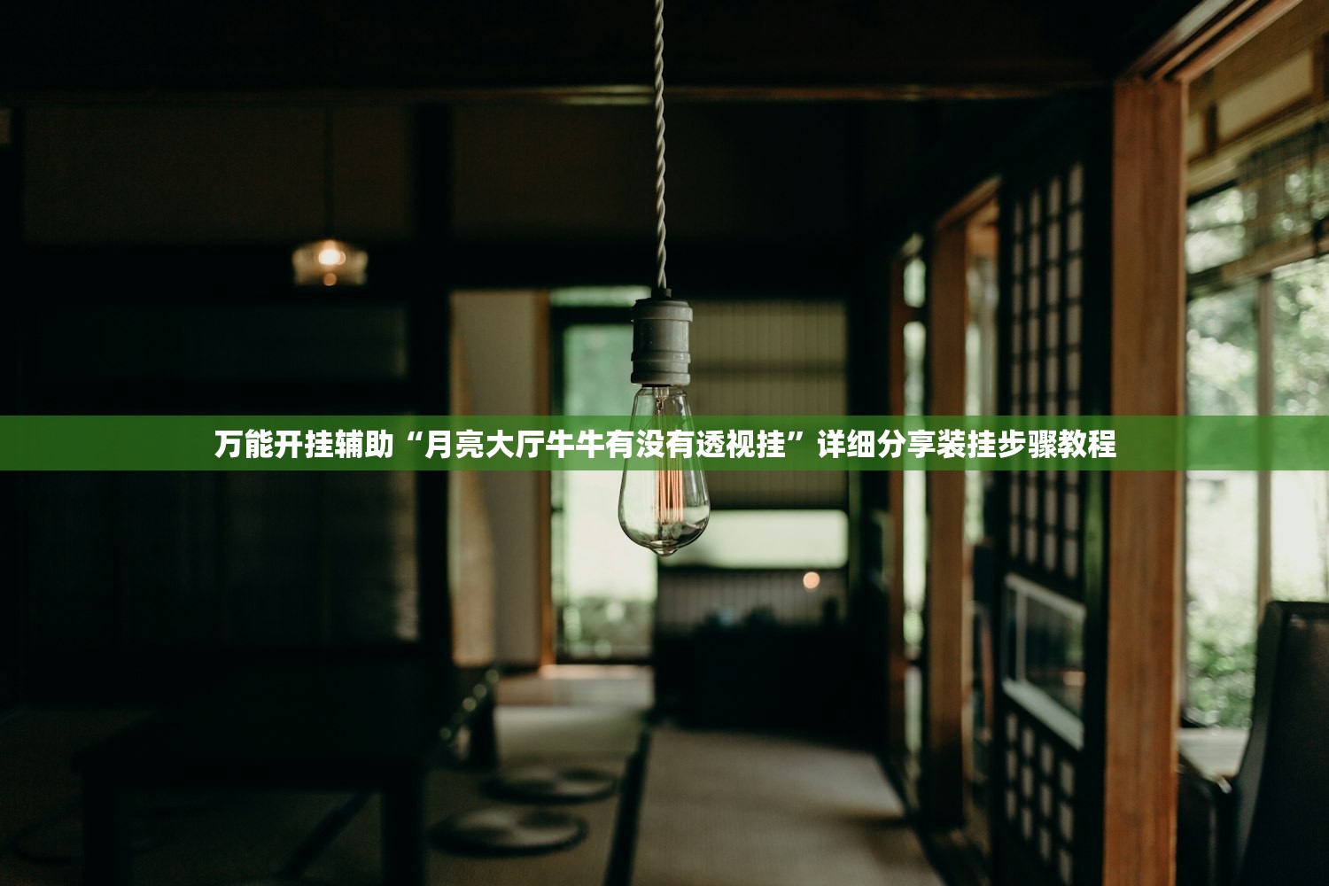 万能开挂辅助“月亮大厅牛牛有没有透视挂”详细分享装挂步骤教程