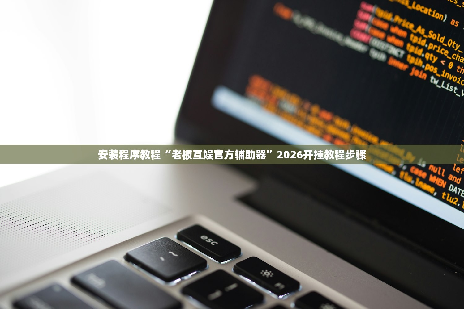 安装程序教程“老板互娱官方辅助器”2026开挂教程步骤