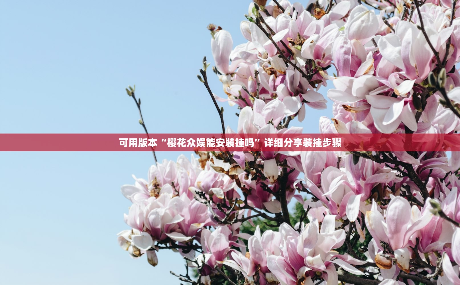 可用版本“樱花众娱能安装挂吗”详细分享装挂步骤