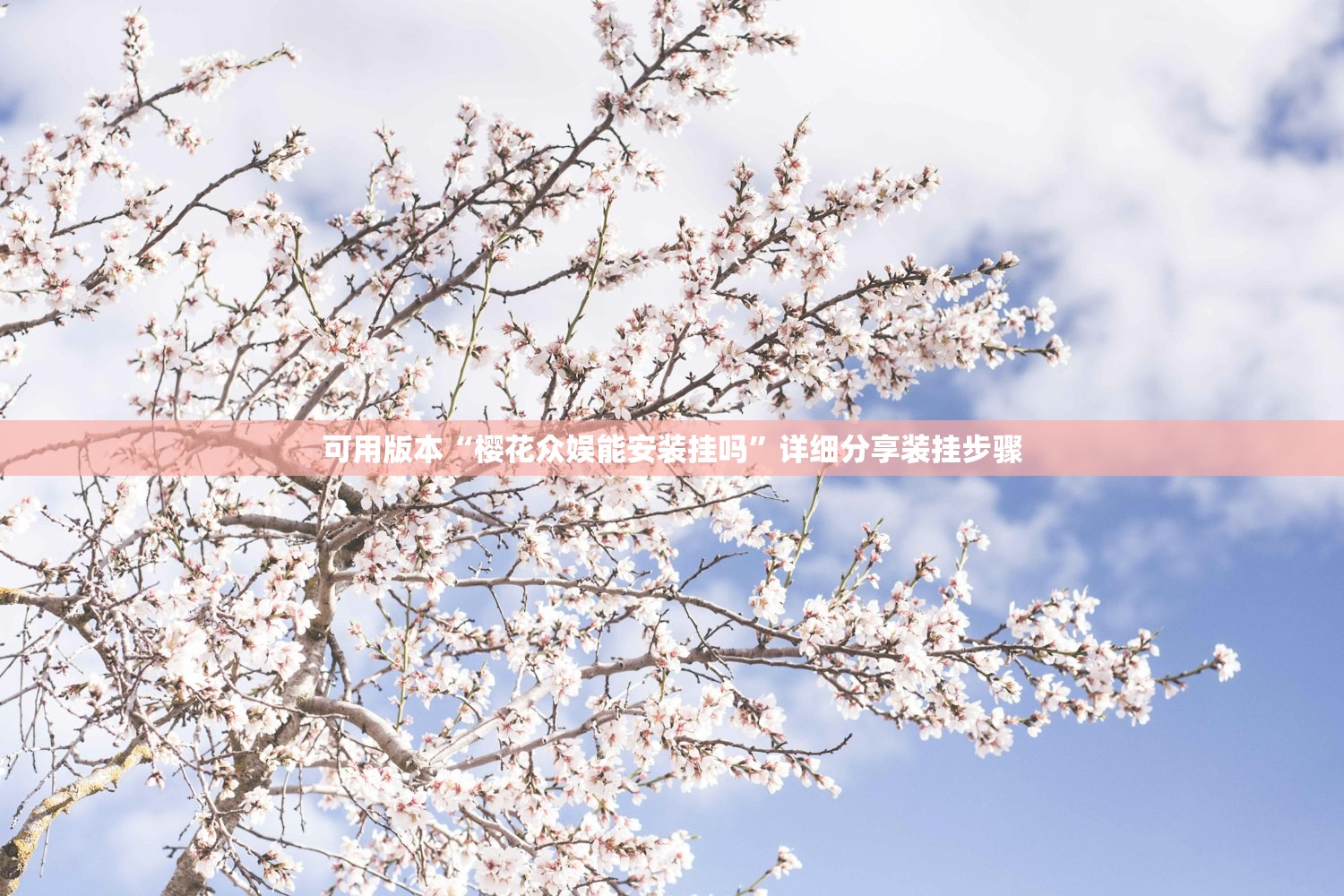 可用版本“樱花众娱能安装挂吗	”详细分享装挂步骤