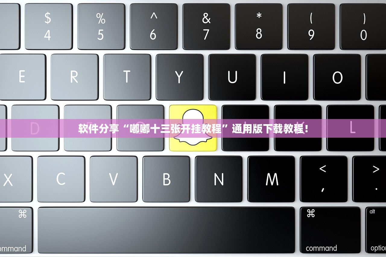 软件分享“嘟嘟十三张开挂教程”通用版下载教程！