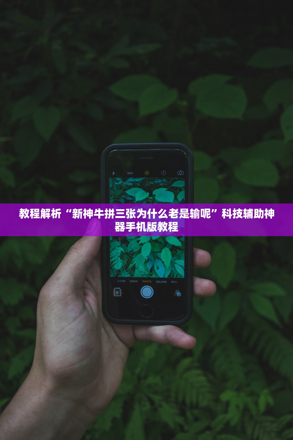 教程解析“新神牛拼三张为什么老是输呢”科技辅助神器手机版教程