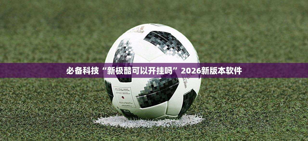 必备科技“新极酷可以开挂吗”2026新版本软件