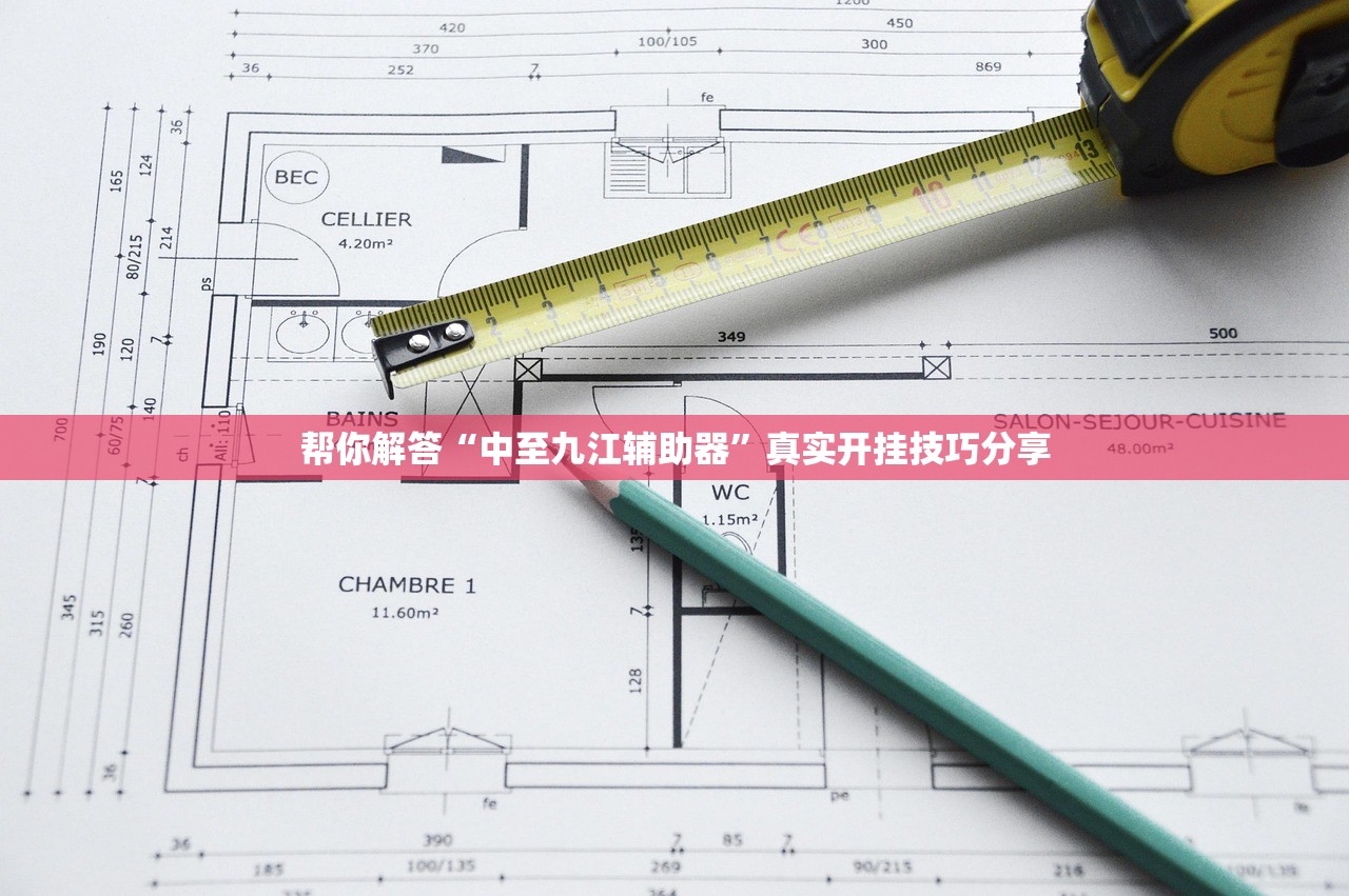 帮你解答“中至九江辅助器”真实开挂技巧分享