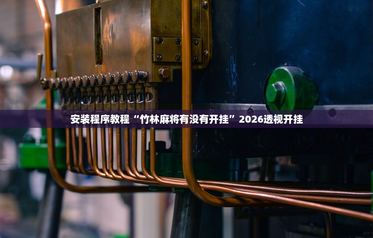 安装程序教程“竹林麻将有没有开挂”2026透视开挂