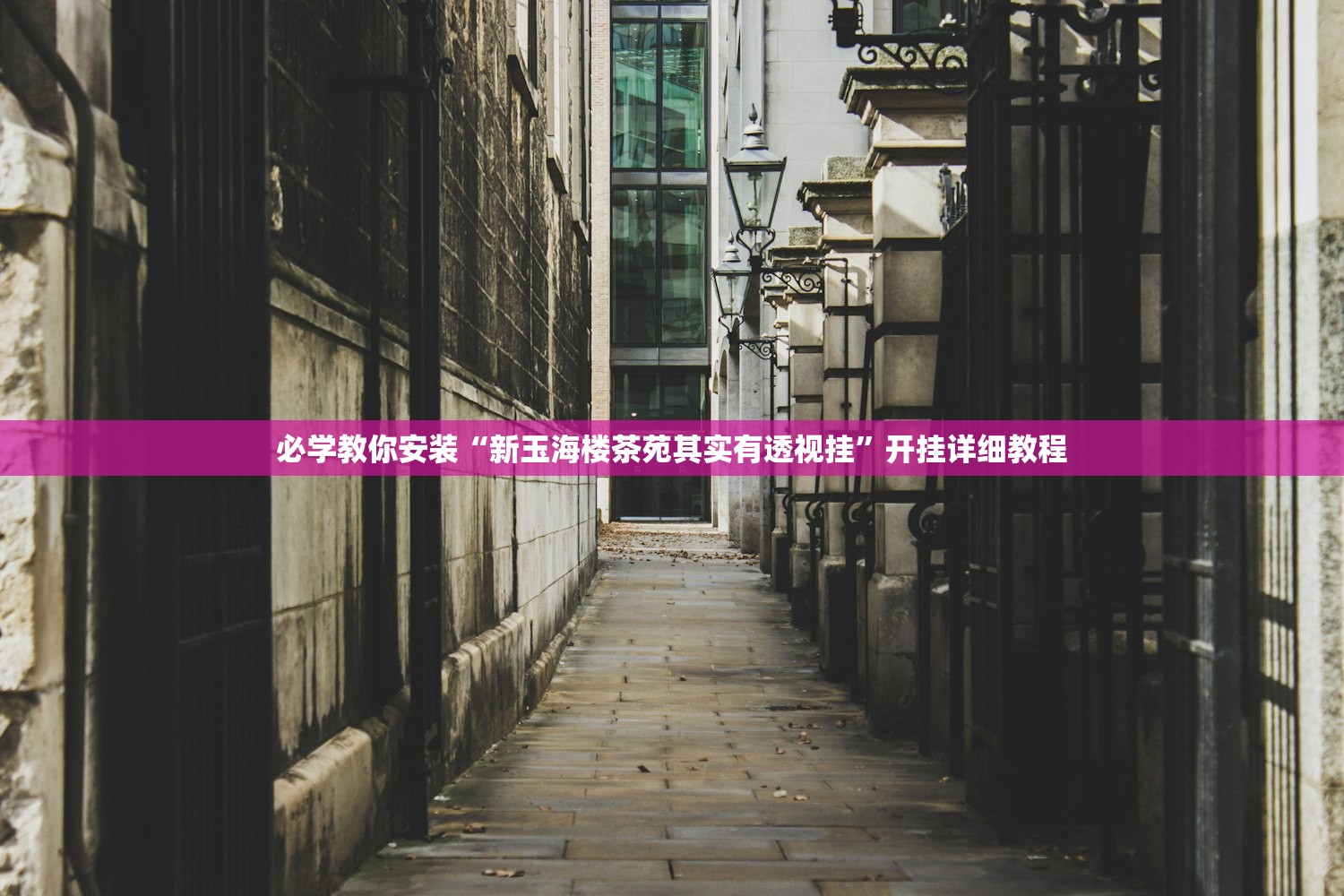 必学教你安装“新玉海楼茶苑其实有透视挂	”开挂详细教程