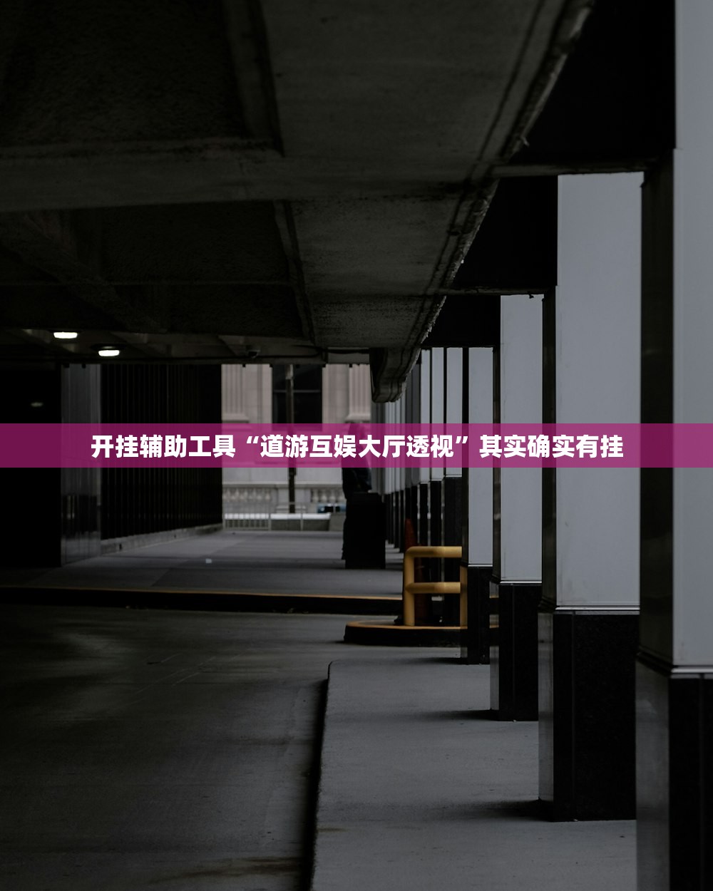 开挂辅助工具“道游互娱大厅透视”其实确实有挂