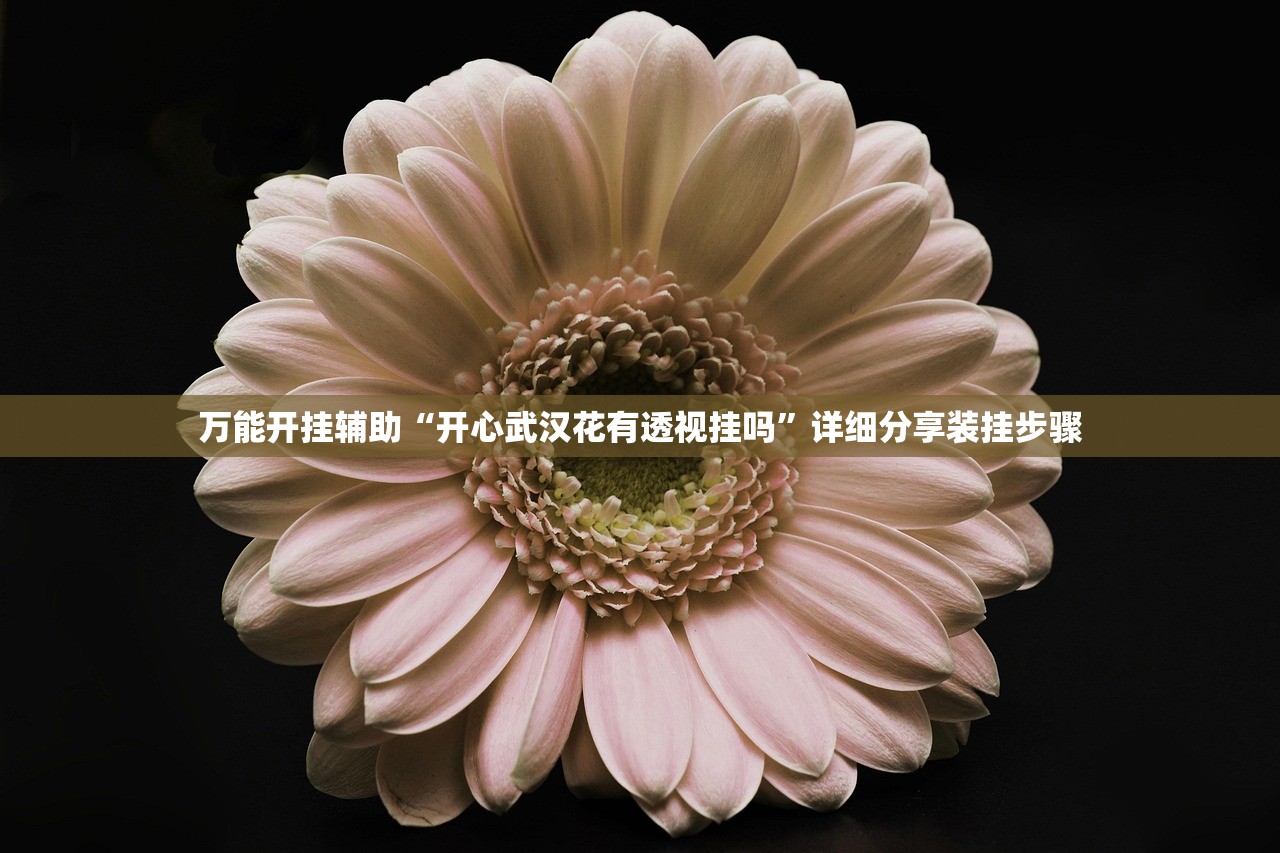 万能开挂辅助“开心武汉花有透视挂吗”详细分享装挂步骤