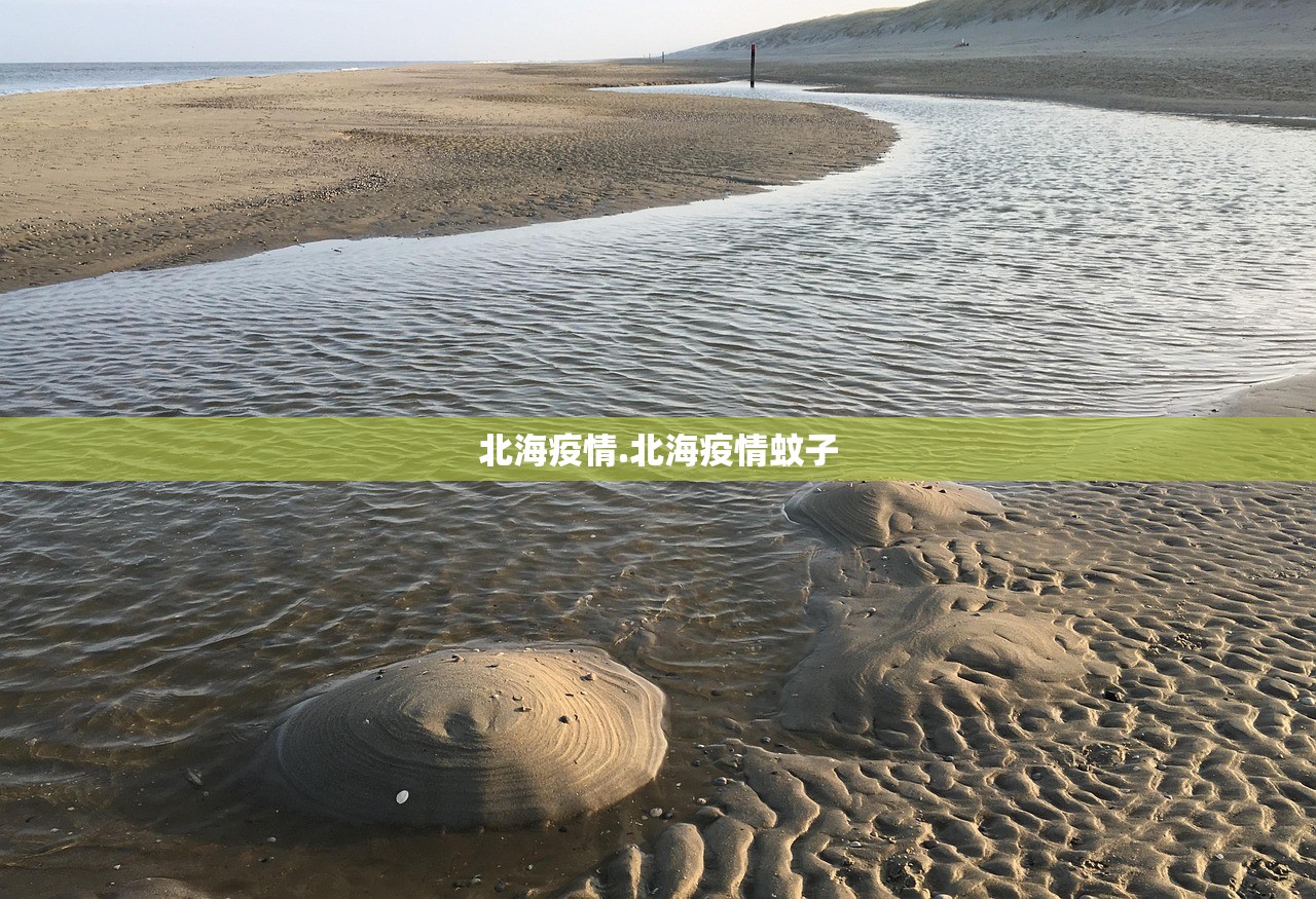 北海疫情.北海疫情蚊子 北海疫情.北海疫情蚊子