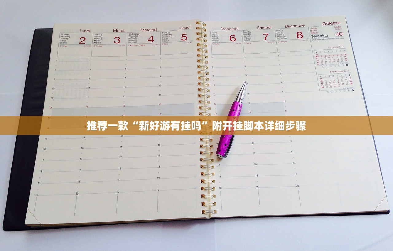 推荐一款“新好游有挂吗”附开挂脚本详细步骤