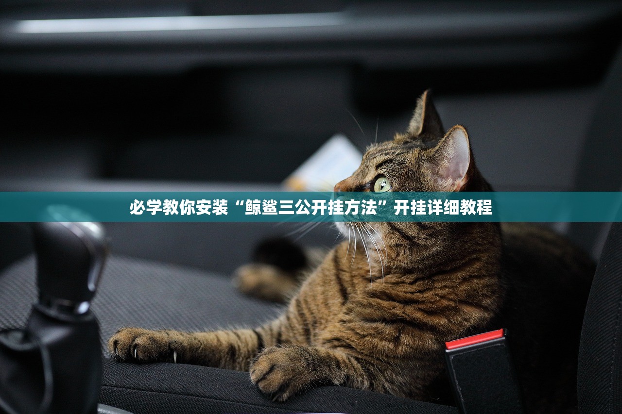 必学教你安装“鲸鲨三公开挂方法	”开挂详细教程