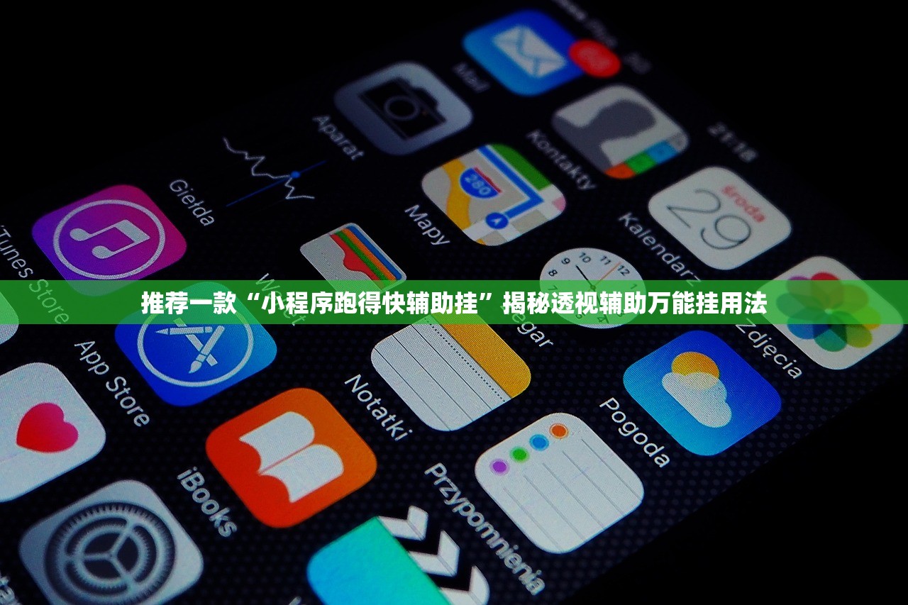 推荐一款“小程序跑得快辅助挂”揭秘透视辅助万能挂用法