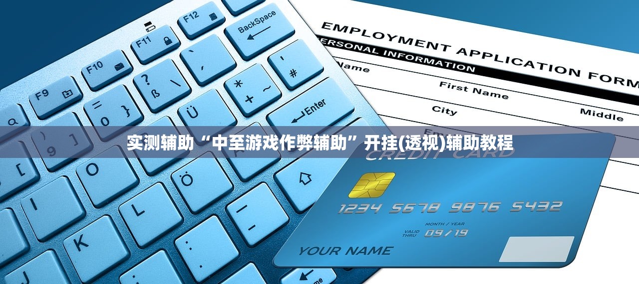实测辅助“中至游戏作弊辅助	”开挂(透视)辅助教程