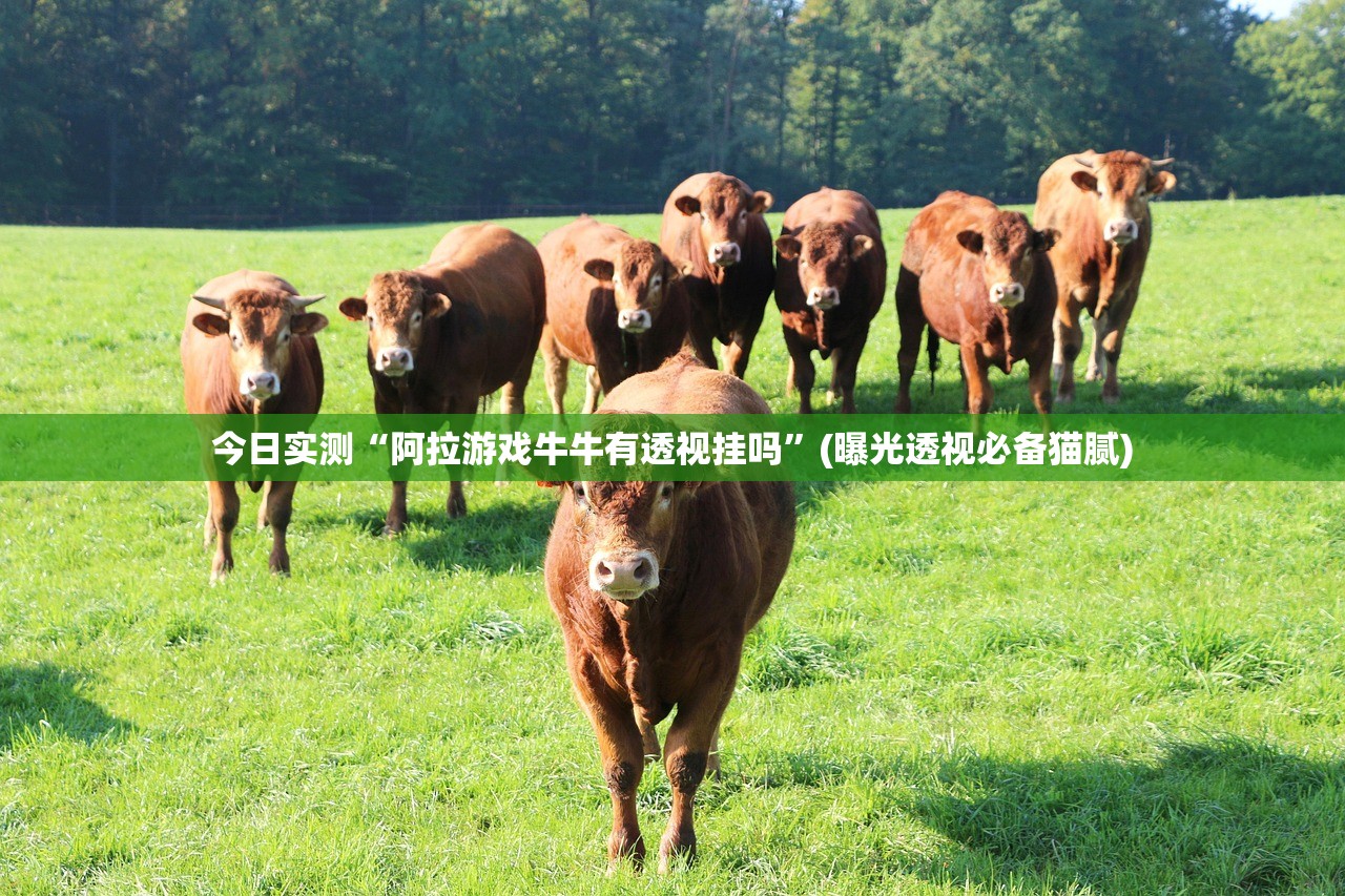 软件分享“越乡游斗地主十三水透视”通用版下载教程！