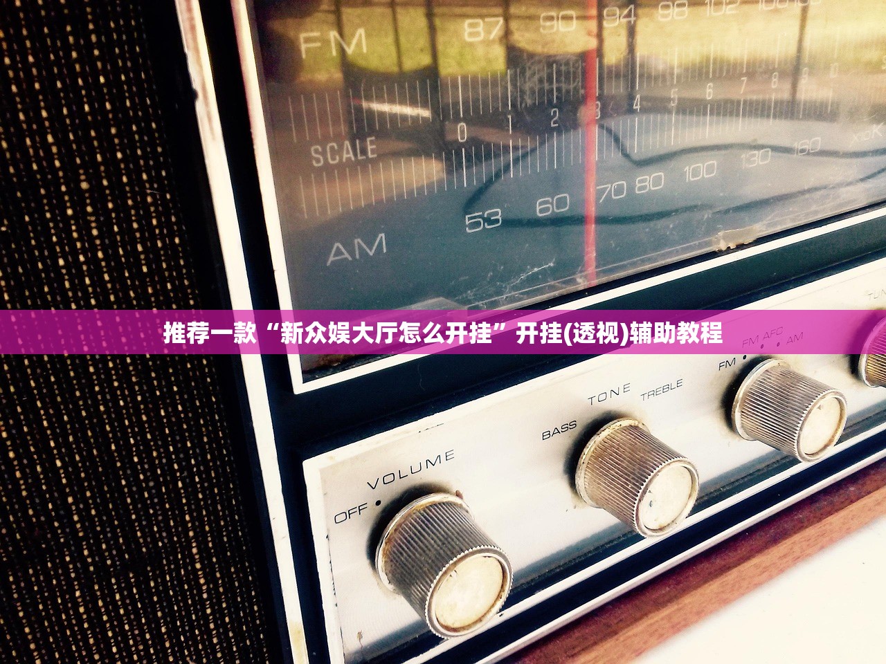 推荐一款“新众娱大厅怎么开挂”开挂(透视)辅助教程
