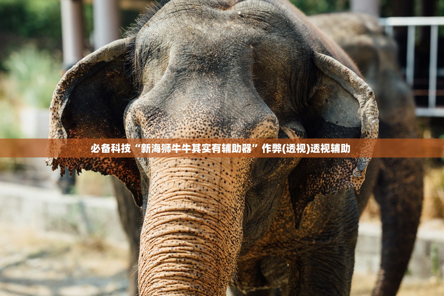 软件分享“越乡游斗地主十三水透视	”通用版下载教程！