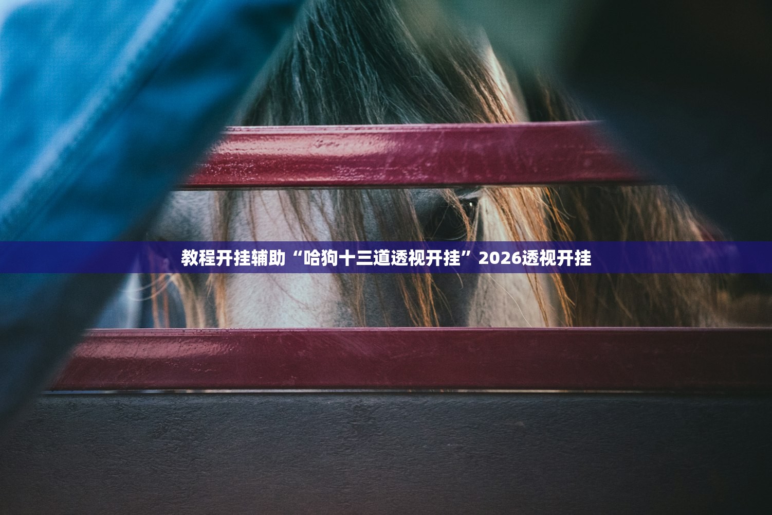 教程开挂辅助“哈狗十三道透视开挂	”2026透视开挂