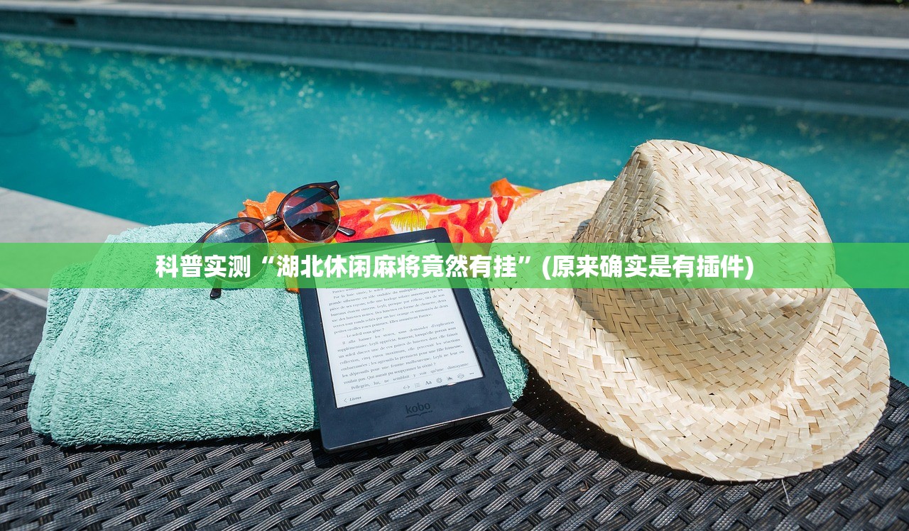 科普实测“湖北休闲麻将竟然有挂”(原来确实是有插件)