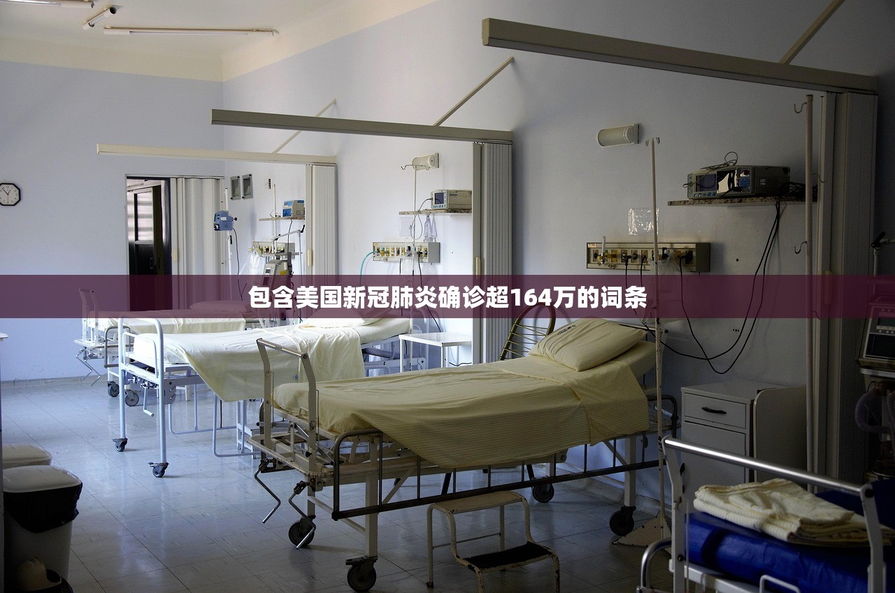 包含美国新冠肺炎确诊超164万的词条