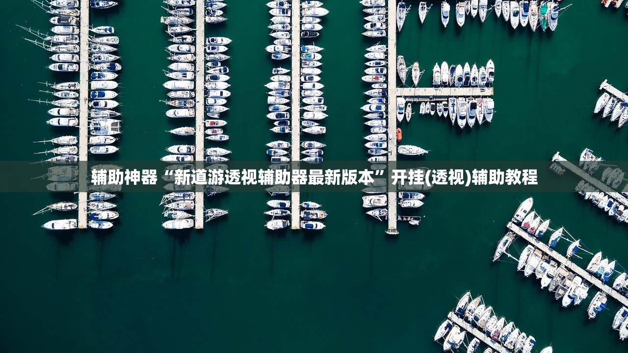 辅助神器“新道游透视辅助器最新版本”开挂(透视)辅助教程