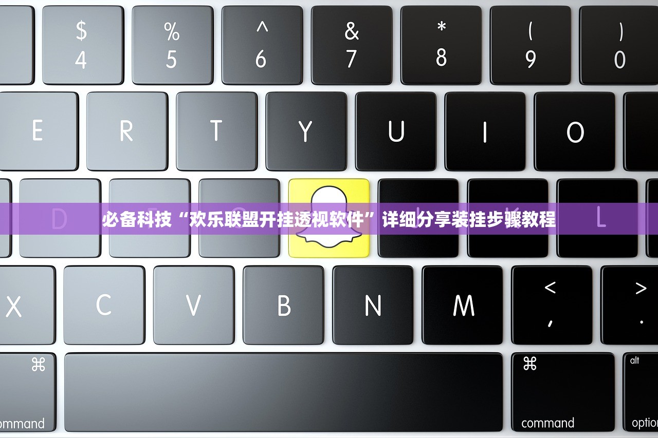 必备科技“欢乐联盟开挂透视软件”详细分享装挂步骤教程