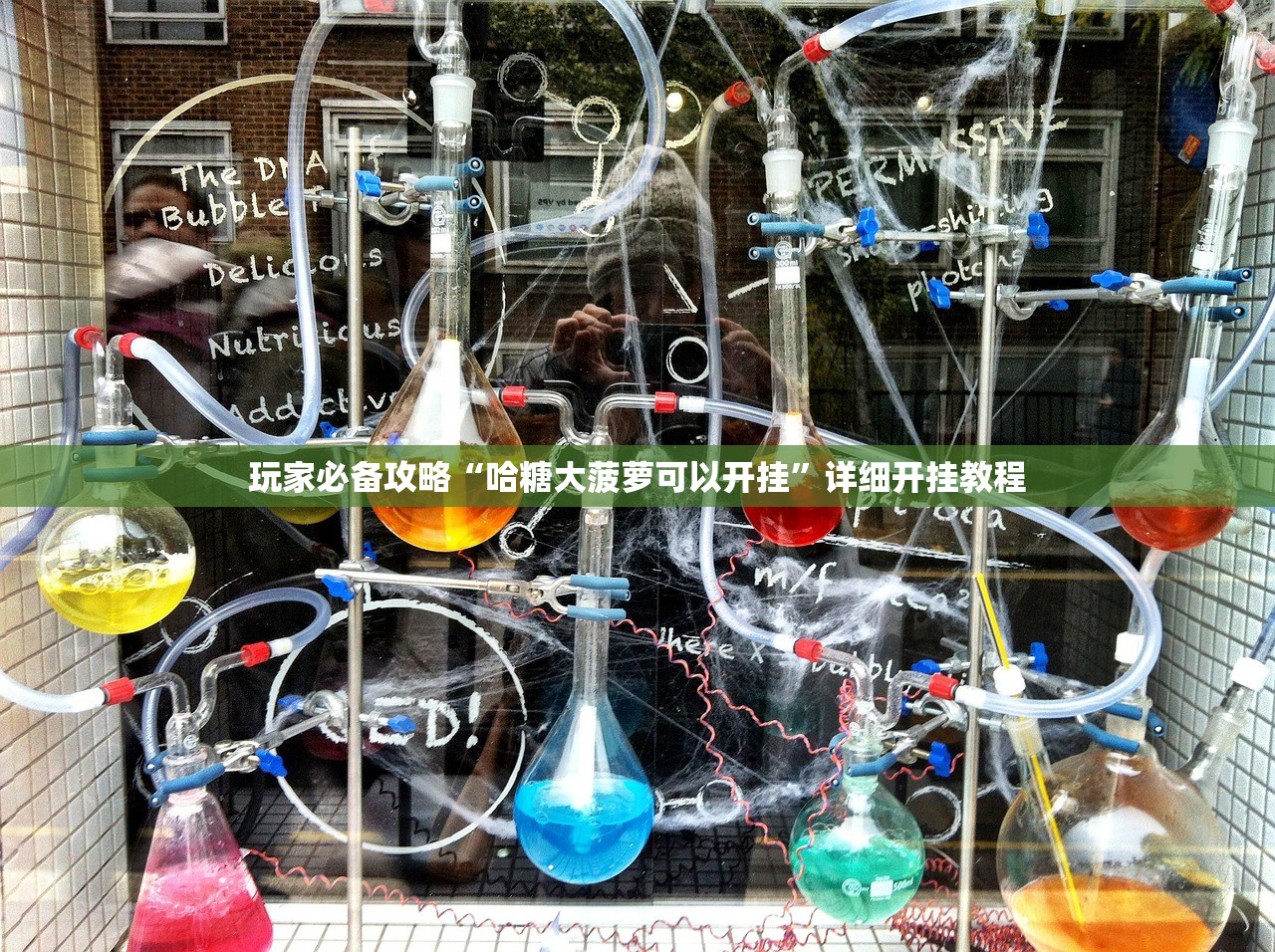玩家必备攻略“哈糖大菠萝可以开挂”详细开挂教程