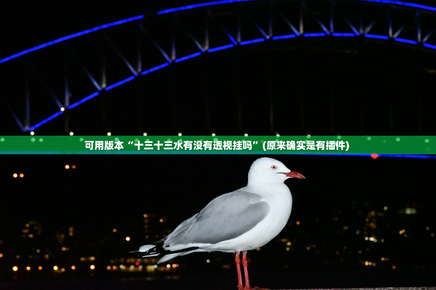 可用版本“十三十三水有没有透视挂吗”(原来确实是有插件) 
