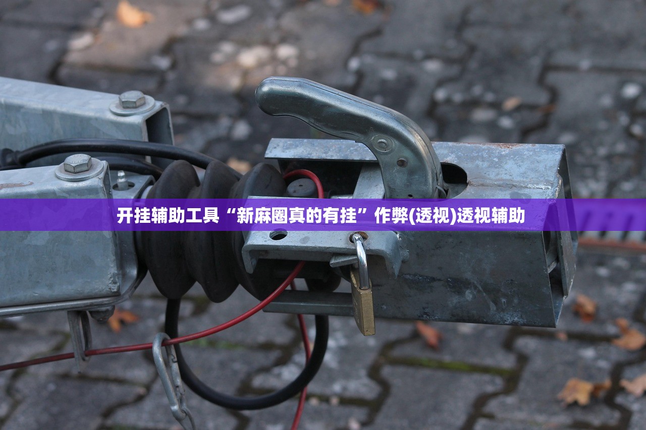 开挂辅助工具“新麻圈真的有挂”作弊(透视)透视辅助 