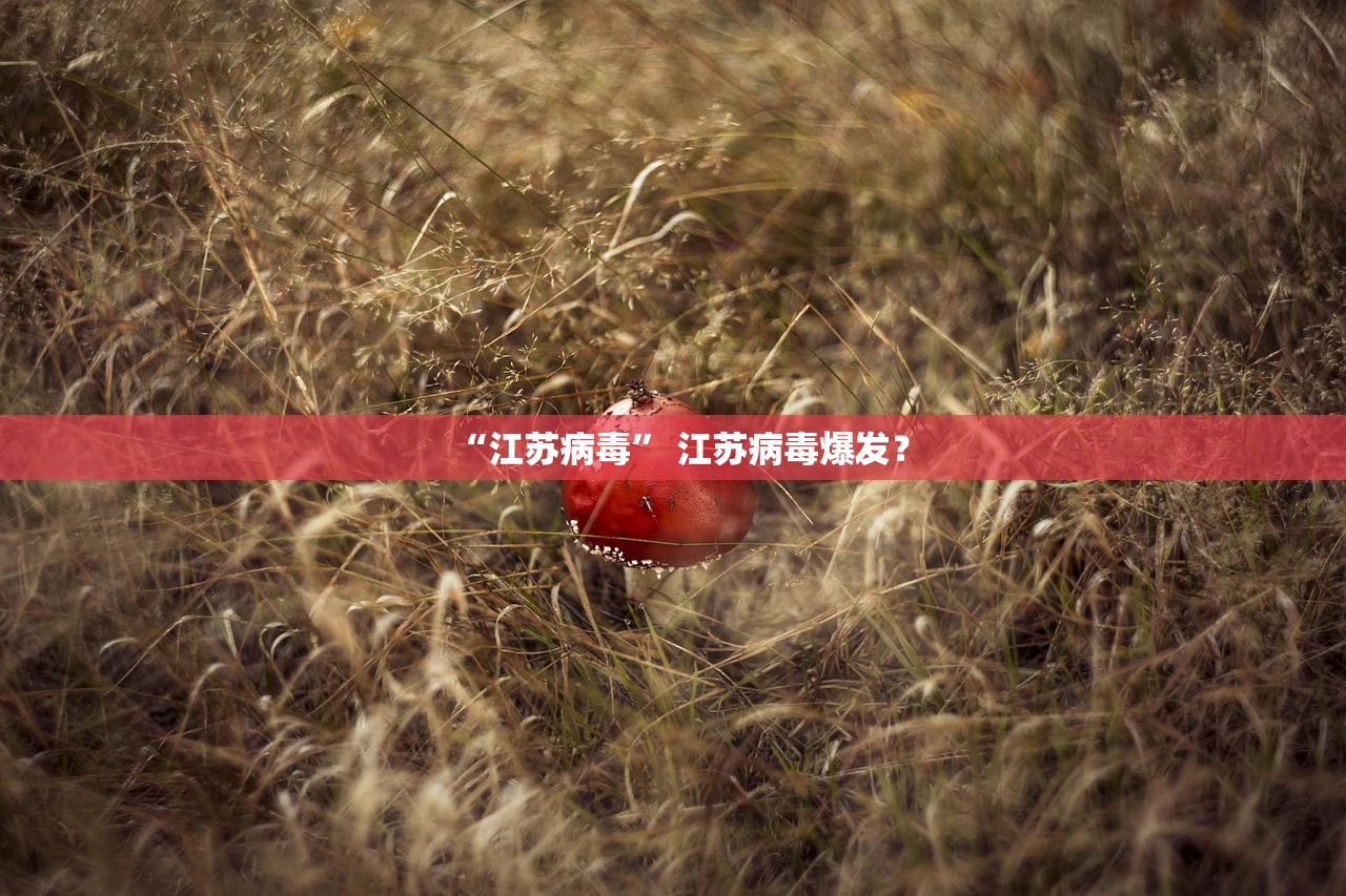 “江苏病毒” 江苏病毒爆发？