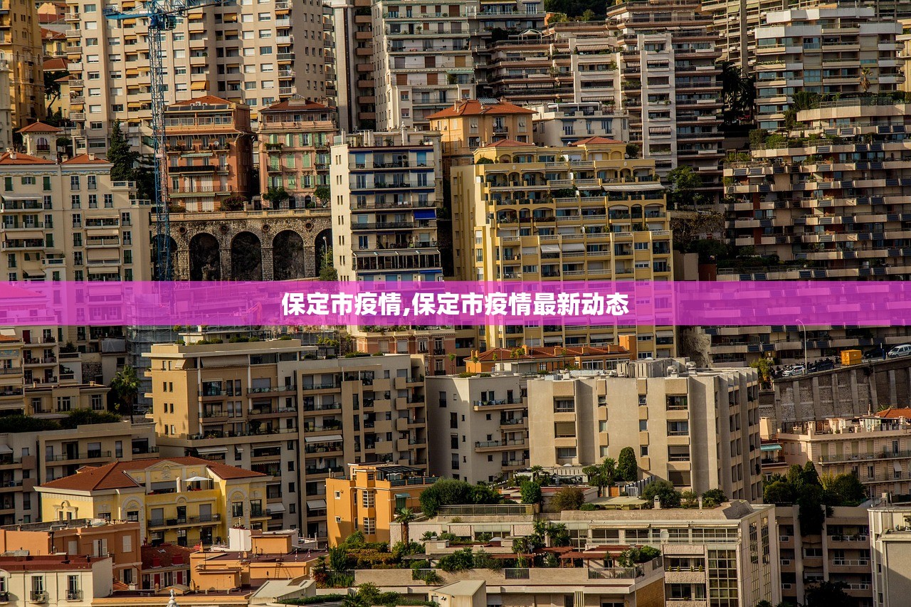 保定市疫情,保定市疫情最新动态 保定市疫情,保定市疫情最新动态