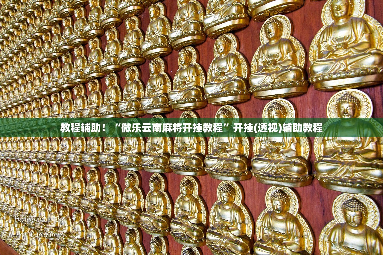 教程辅助！“微乐云南麻将开挂教程	”开挂(透视)辅助教程