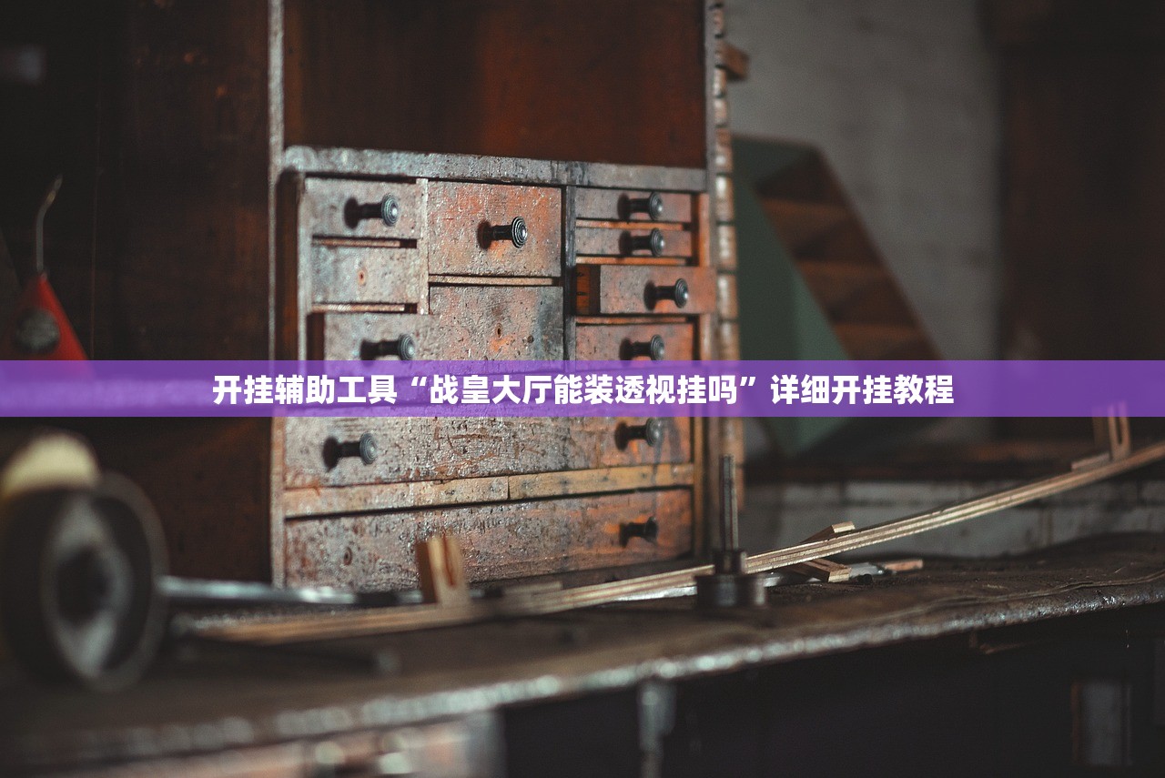 开挂辅助工具“战皇大厅能装透视挂吗”详细开挂教程