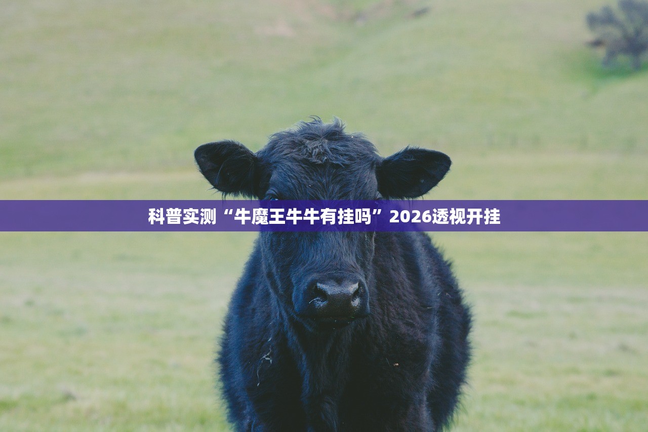 科普实测“牛魔王牛牛有挂吗	”2026透视开挂