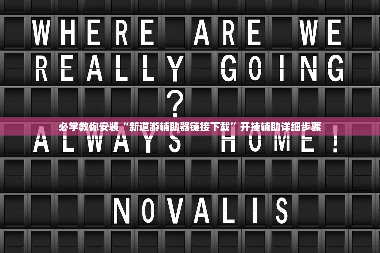 必学教你安装“新道游辅助器链接下载”开挂辅助详细步骤