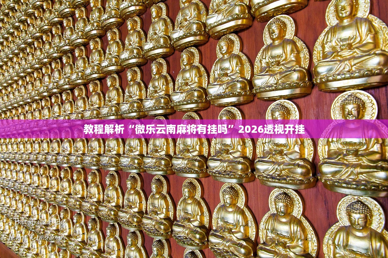 教程解析“微乐云南麻将有挂吗”2026透视开挂
