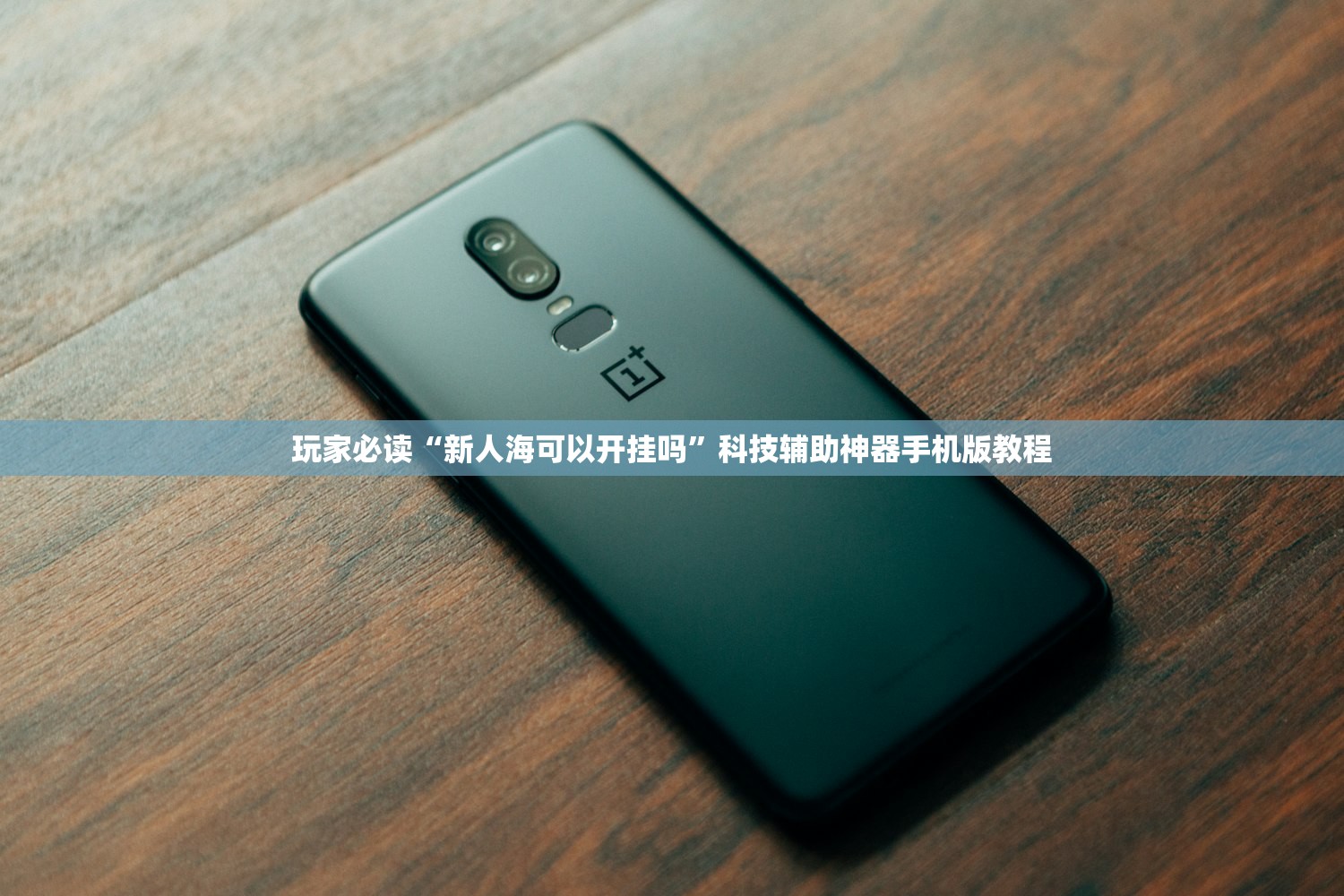 玩家必读“新人海可以开挂吗”科技辅助神器手机版教程