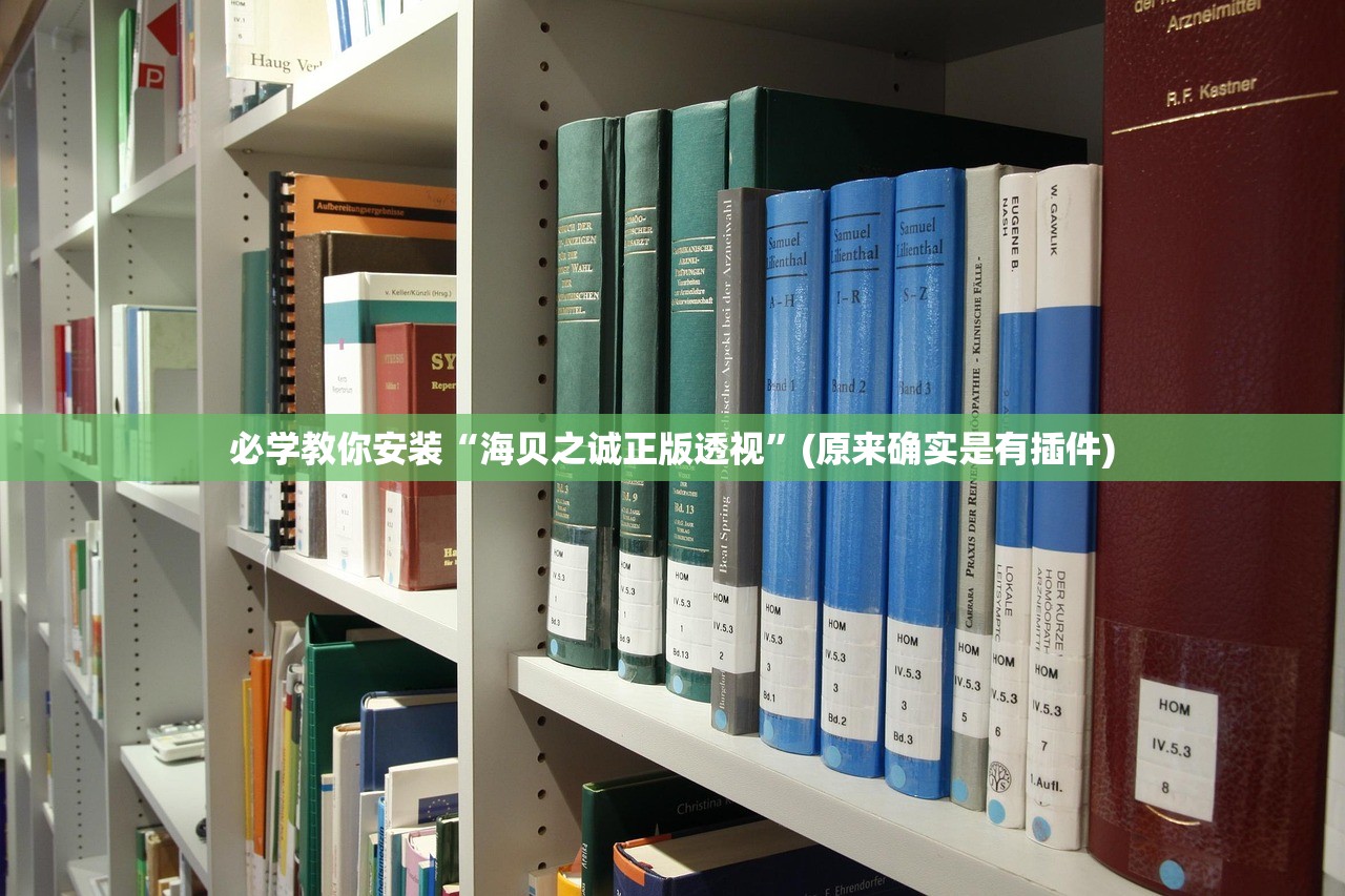 必学教你安装“海贝之诚正版透视”(原来确实是有插件)