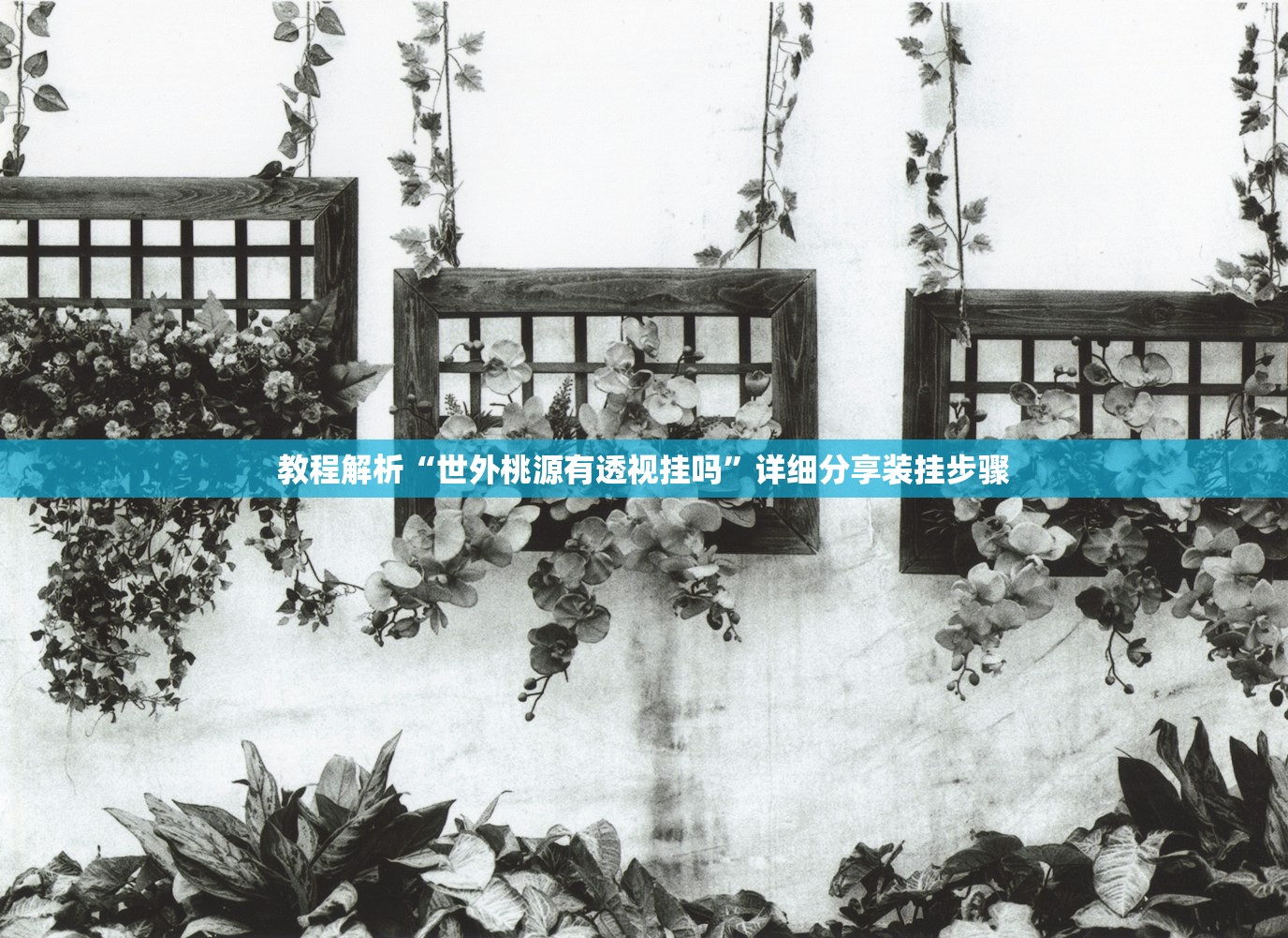 教程解析“世外桃源有透视挂吗	”详细分享装挂步骤