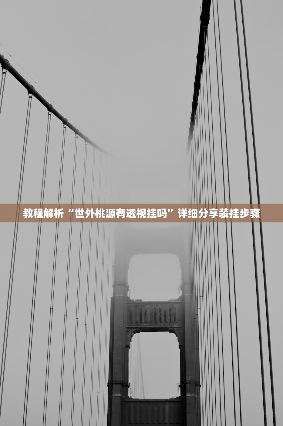 教程解析“世外桃源有透视挂吗”详细分享装挂步骤