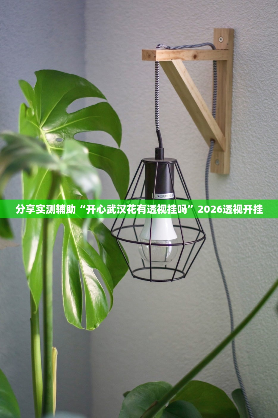 分享实测辅助“开心武汉花有透视挂吗	”2026透视开挂