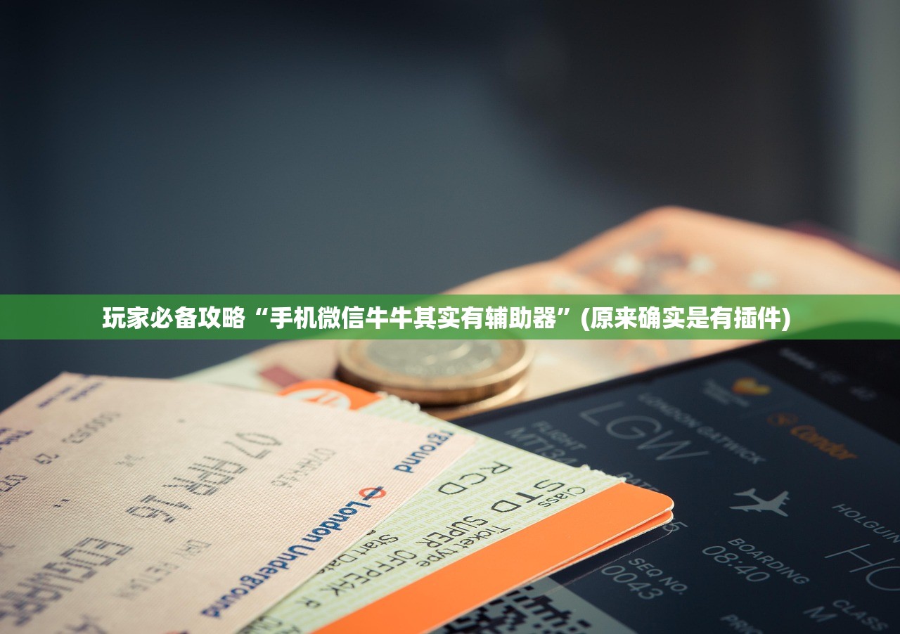 玩家必备攻略“手机微信牛牛其实有辅助器”(原来确实是有插件) 