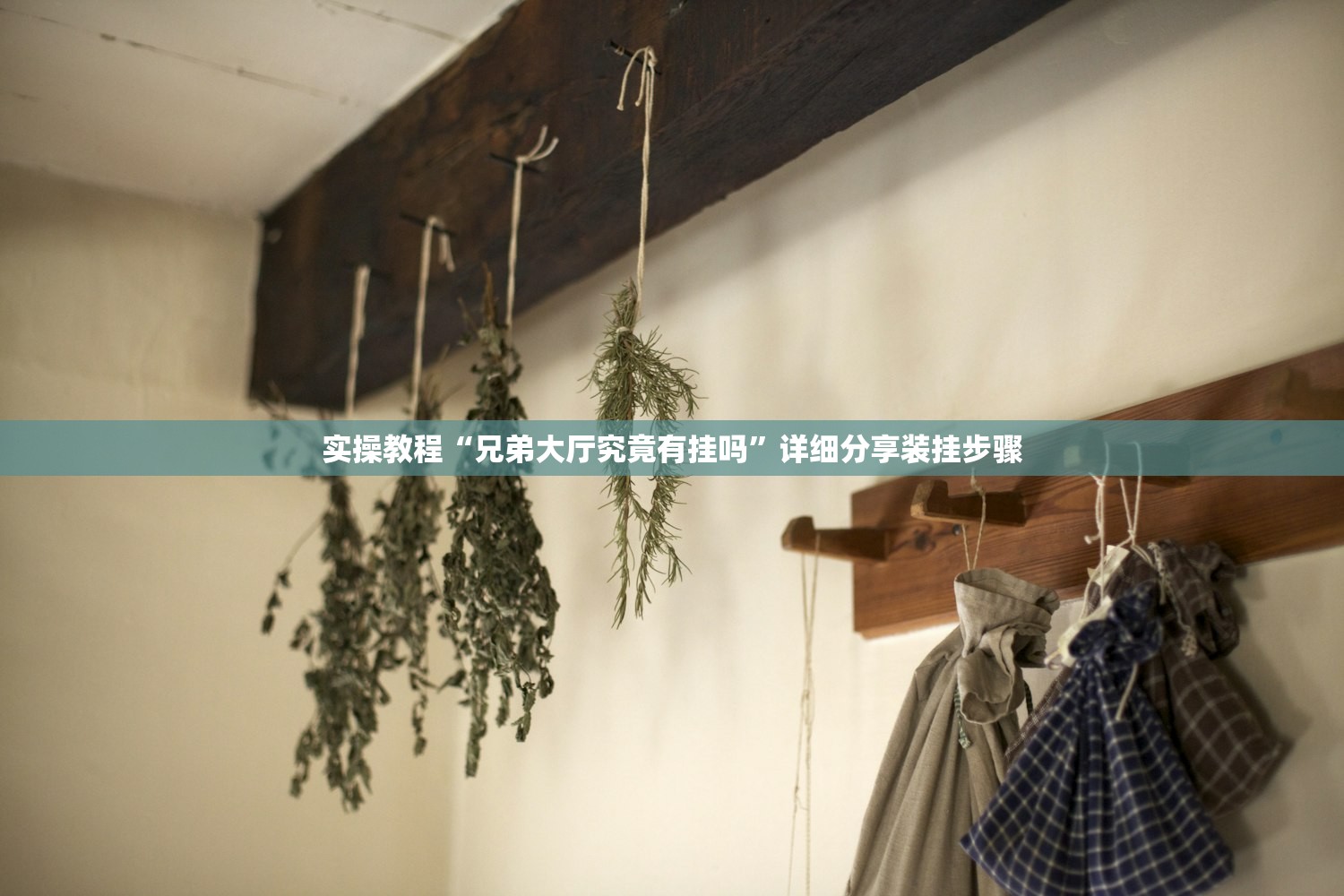 实操教程“兄弟大厅究竟有挂吗”详细分享装挂步骤