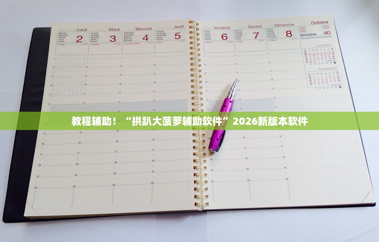 教程辅助！“拱趴大菠萝辅助软件”2026新版本软件