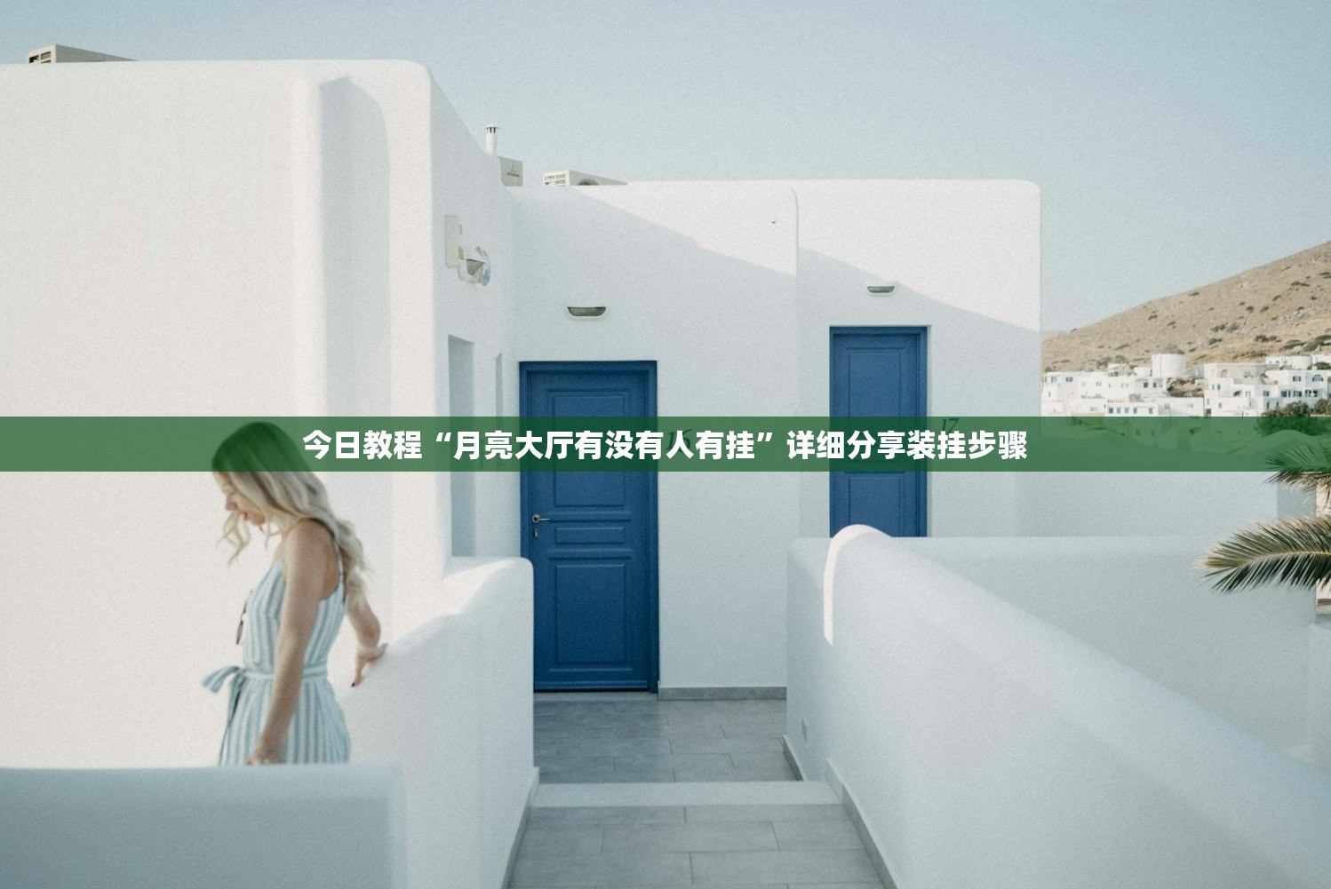 今日教程“月亮大厅有没有人有挂	”详细分享装挂步骤